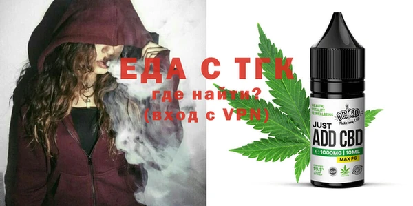 стаф Каменка
