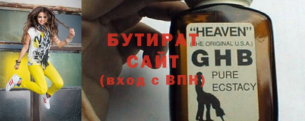 стаф Каменка