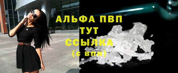 тгк Каменногорск