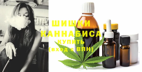 гашик Касимов