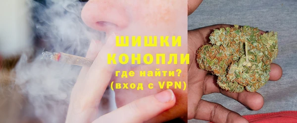 гашик Касимов