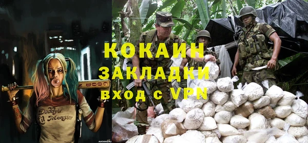 гашик Касимов