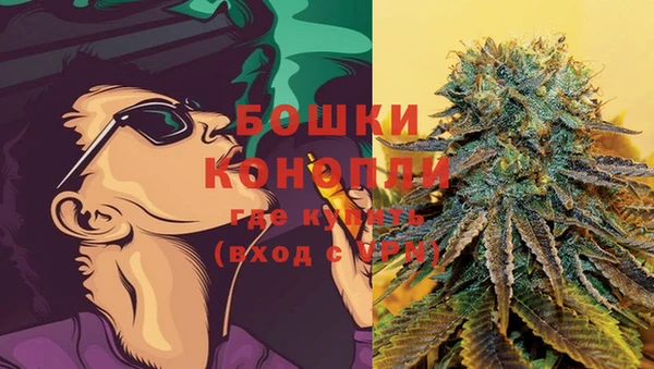 бошки Карпинск