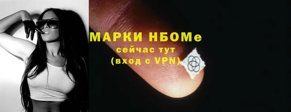 гашик Касимов