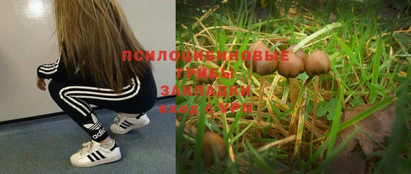 бошки Карпинск