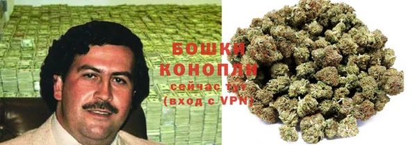 ГАЛЛЮЦИНОГЕННЫЕ ГРИБЫ Киренск