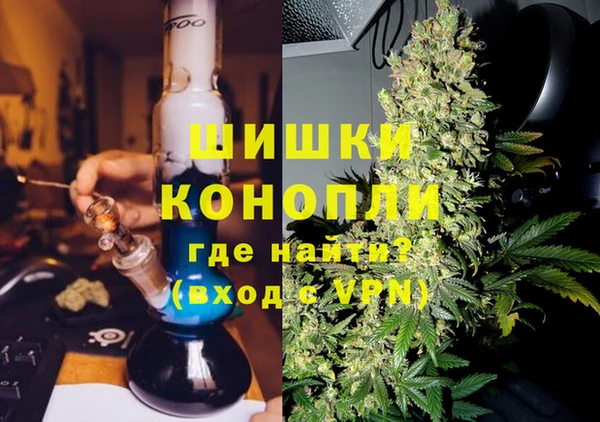гашик Касимов