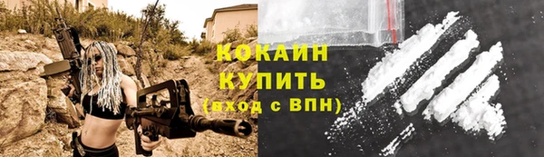 гашик Касимов