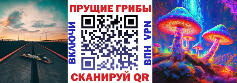 цена   Кремёнки  Псилоцибиновые грибы MAGIC MUSHROOMS 